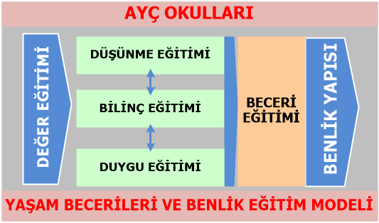 ANASINIFIMIZ